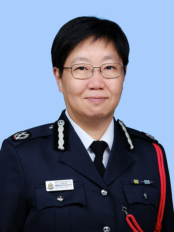 Regional Commander of New Territories North