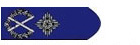 警務處高級助理處長階級徽章