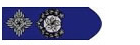 高级警司阶级徽章