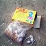 Sand Crackers