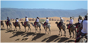 騎著駱駝穿越寧夏浩瀚的沙漠。