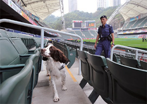 警犬在大球场执行保安搜查工作。