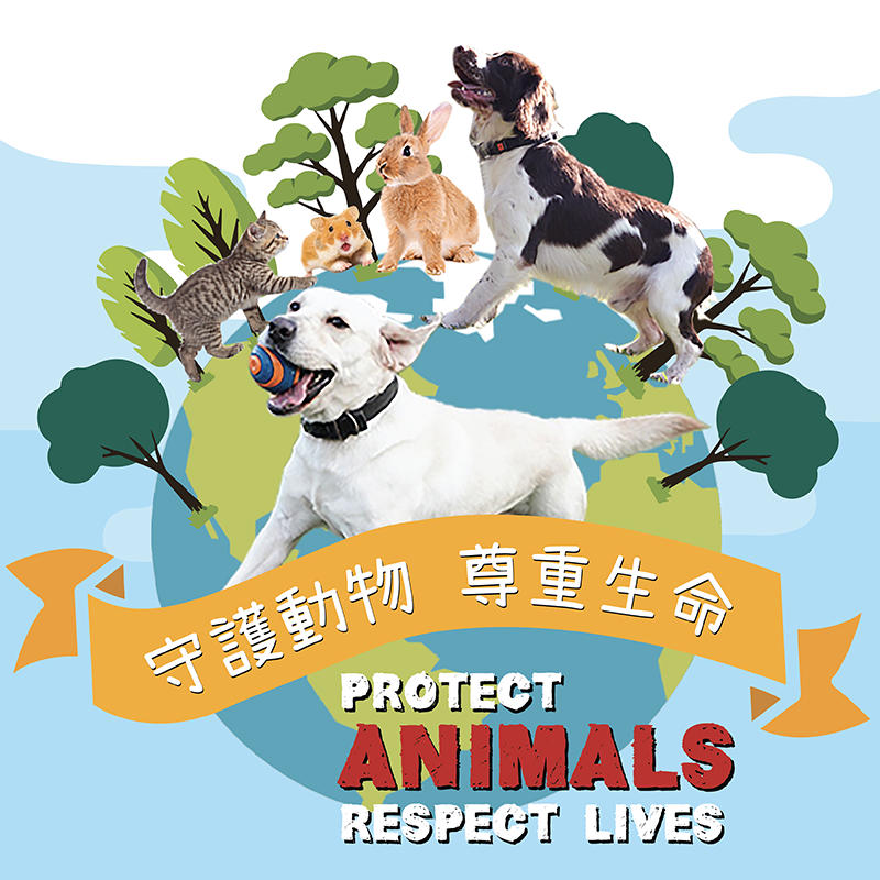 Protect Animals  Respect Lives