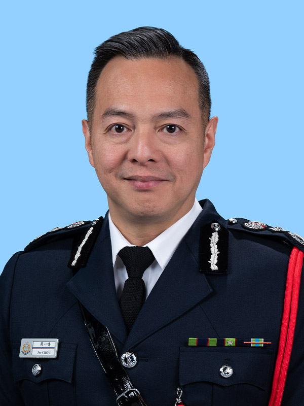 警务处副处长(行动)