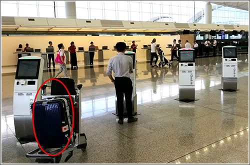 訪港旅客在辦理登機手續時應將行李擺放在自己的視線範圍內