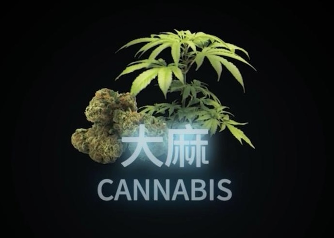 大麻篇