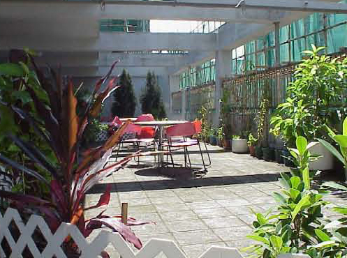 Green roof garden