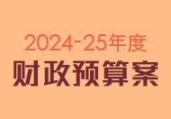 2024-25 年度财政预算案公众谘询