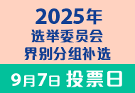 2025选举委员会界别分组补选 