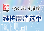 维护廉洁选举 