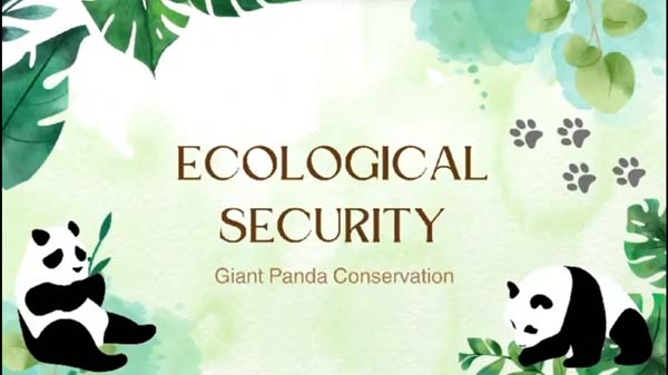 高中組21 - Ecological Security - Giant Panda Conservation