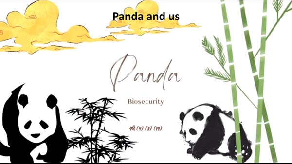 高中組25 - Panda and us