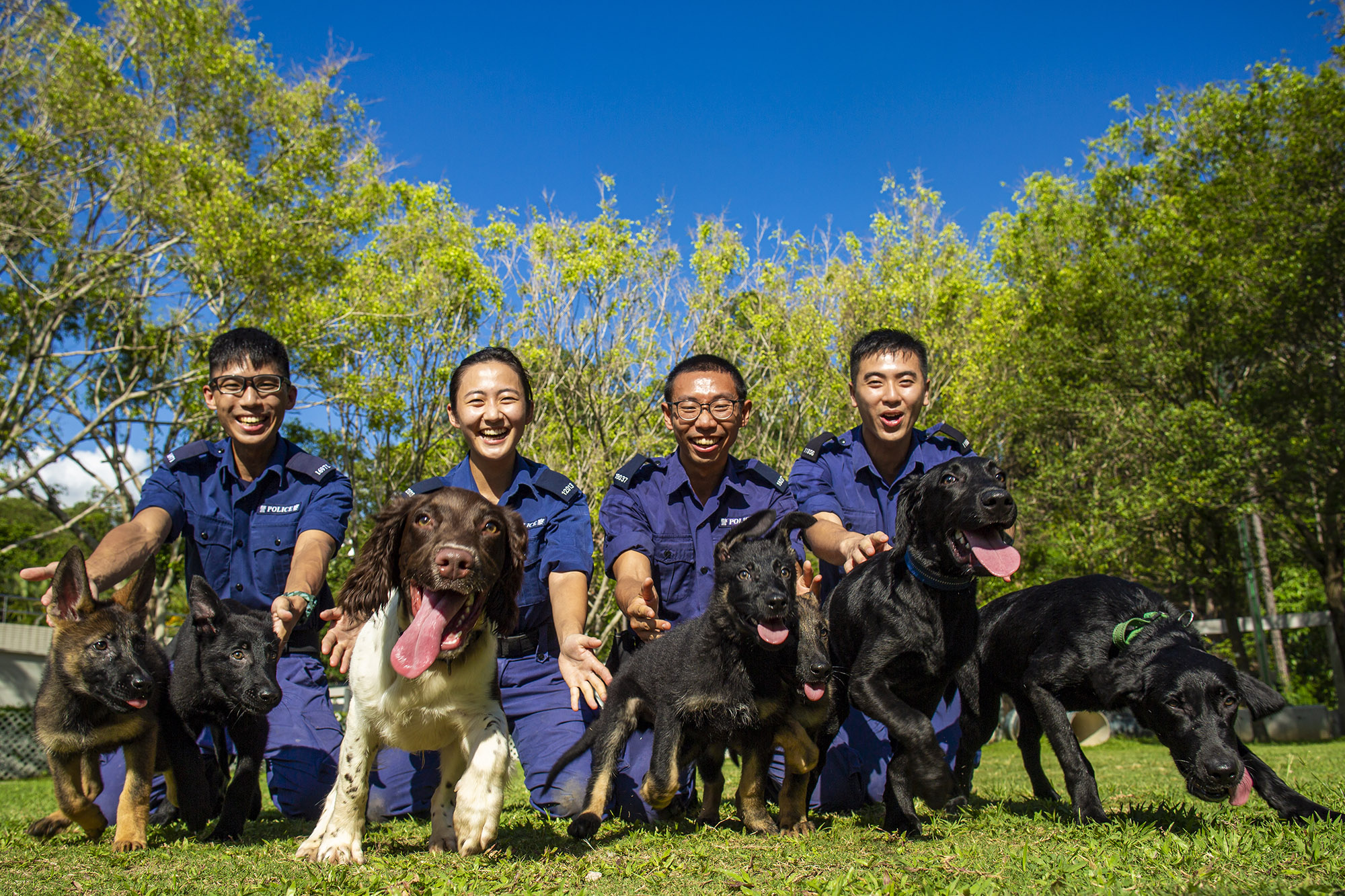 can a civilian adopt a retired police dog