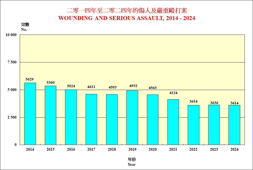 伤人及严重殴打案