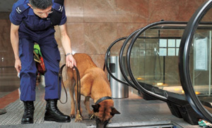 Police dogs are deployed for security checks.