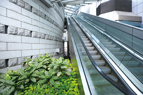 Police Headquarters carries out greening work to provide a quality working environment for staff.