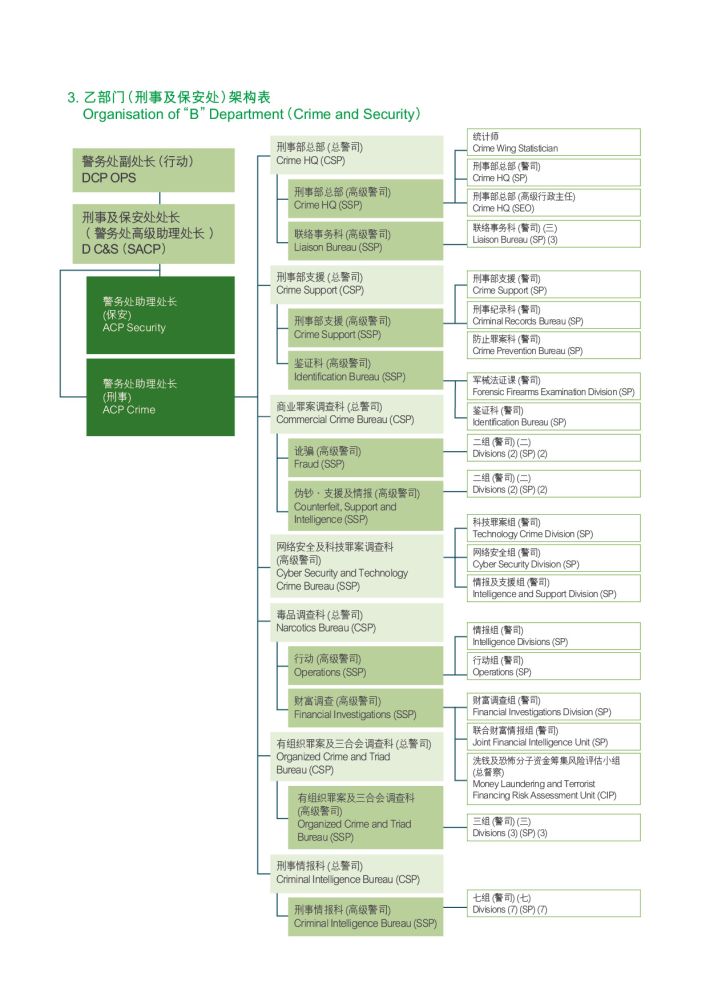 乙部门（刑事及保安处）架构表