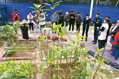 Officers of Yuen Long Police District engaged in organic farming.