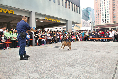 警犬队在东九龙行动基地开放日上表演。