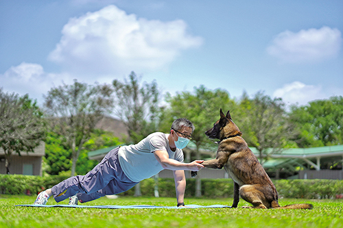The AWP Plank Challenge invited people to take videos with their pets based on the theme of plank support to show the mutual support between humans and animals.
