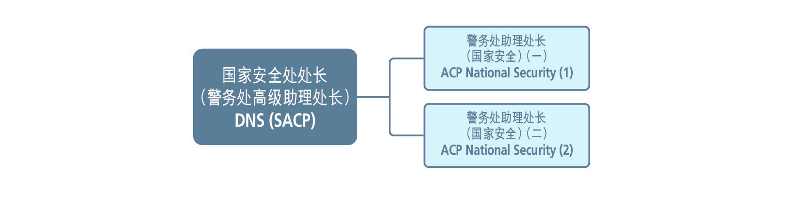 国安部门（国家安全处）架构表