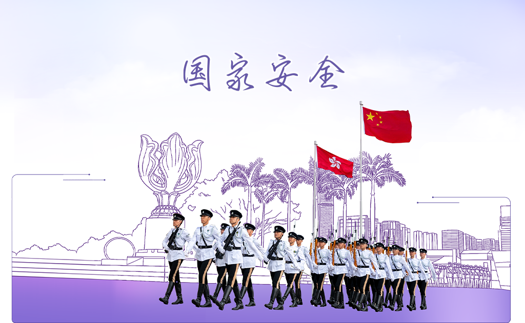  国家安全 