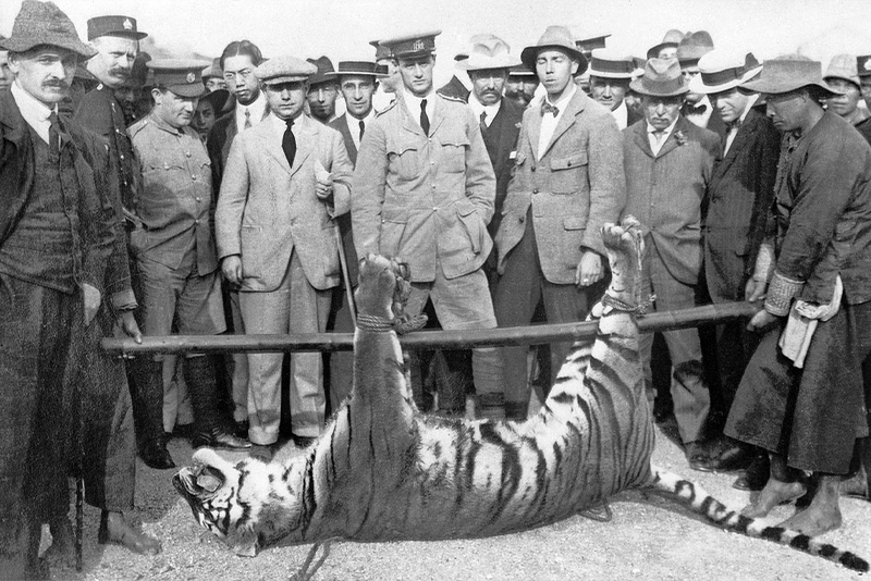 時任新界區指揮官當奴．弼靈諴（穿制服站中央者）擊斃「上水之虎」，1915年。