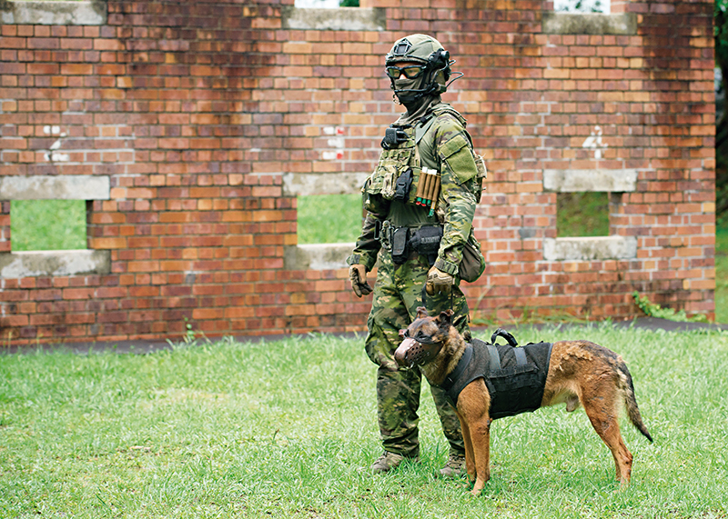 特警力量警犬图片